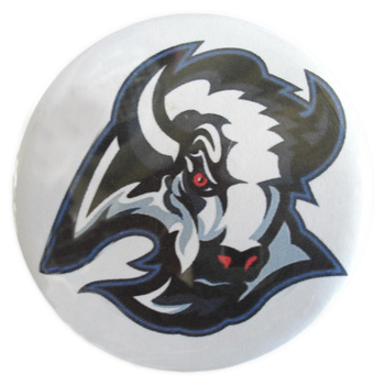 THS Buffalos Logo
